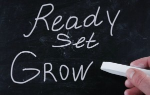 ready-set-grow